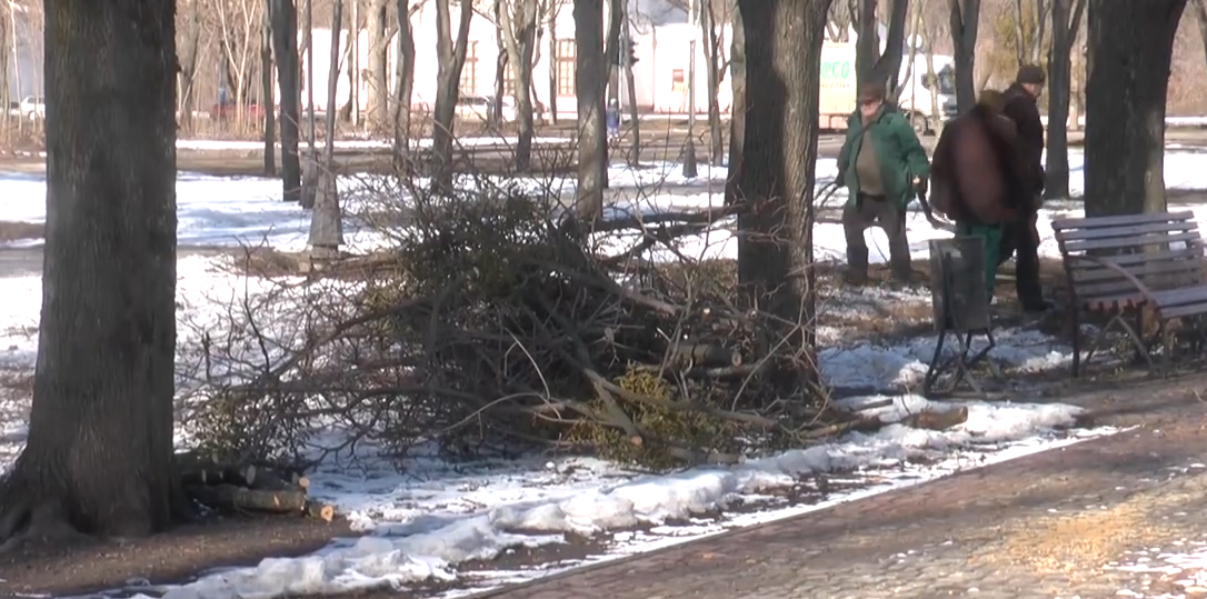Харківщиною пройшовся циклон «Юлія» — погода знов погіршиться (відео)