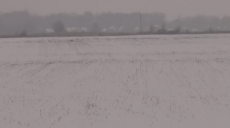 Аномальна зима в Україні: чого чекати харківським фермерам (відео)