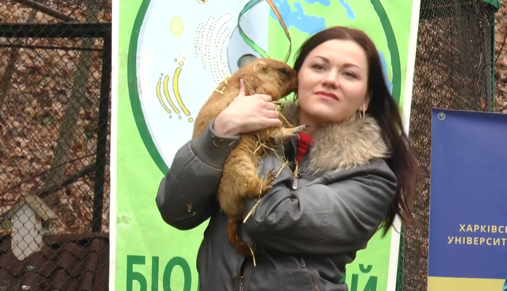 Харківський бабак-віщун передрік, коли прийде весна та чи очікувати на сніг наступної зими (відео)