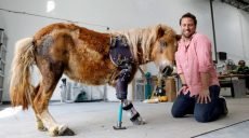 Американський ортопед протезує ноги тварин (фото, відео)