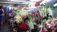 В Харькове продавщица цветов отправила вора «в нокаут» (видео)