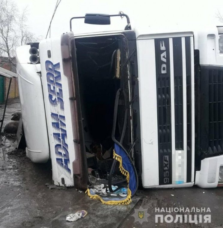 На Харьковщине перевернулся грузовик со свиньями (видео, фото)