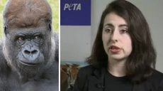 Американська біологиня виношує дитя горили