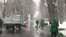 Очікували колапс, але сніг розтанув: як у Харкові готувалися до стихії (відео)