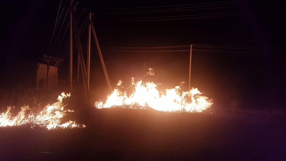 Под Харьковом горели луга (фото)