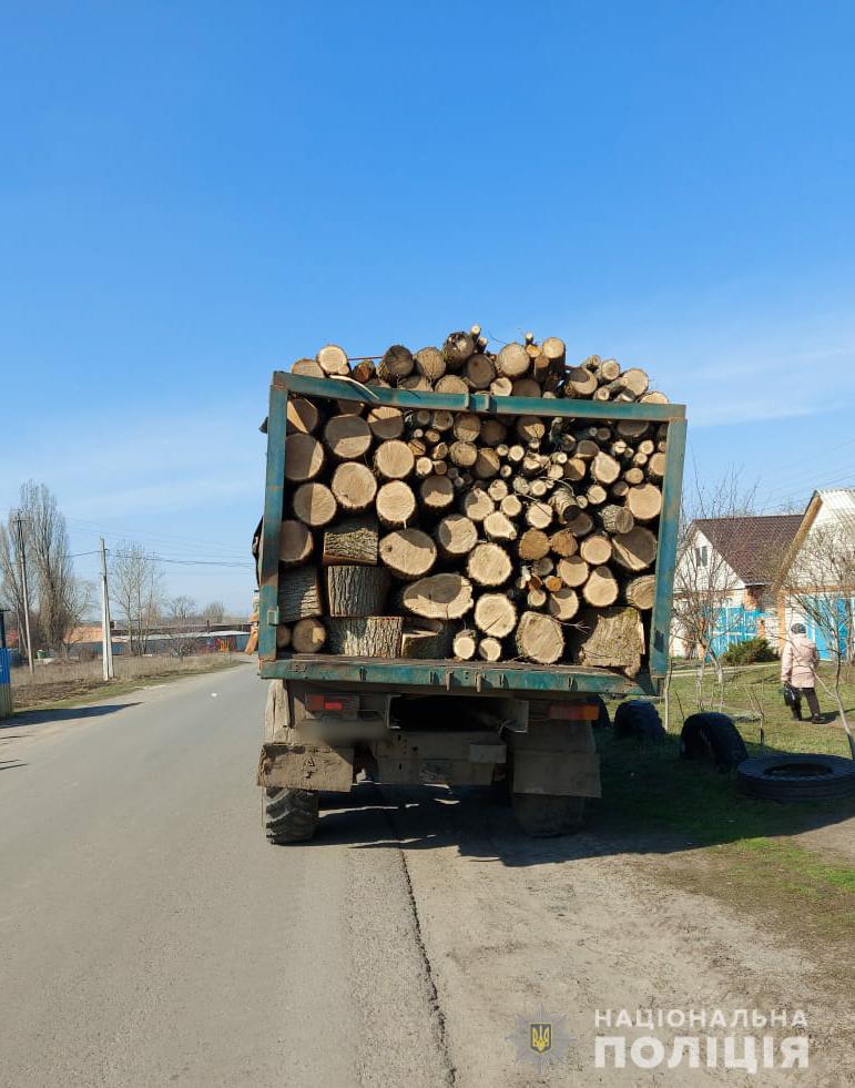 На Харьковщине задержана партия древесины без документов (фото)