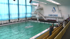 Харків’янки виграли юніорський чемпіонат з артистичного плавання (відео)