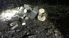 В Харькове незаконно срубили деревья (фото)