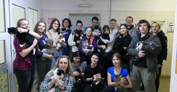 Волонтеров в Харькове учили обращаться с животными (фото)