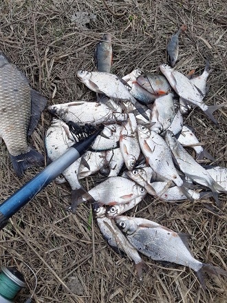 Рыбалка. За месяц выявлено 64 случая браконьерства на Харьковщине