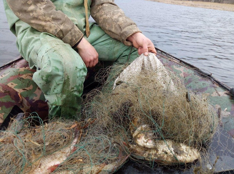 Нерестовая кампания 2020: рыбоохранный патруль рассказал о правилах рыбалки