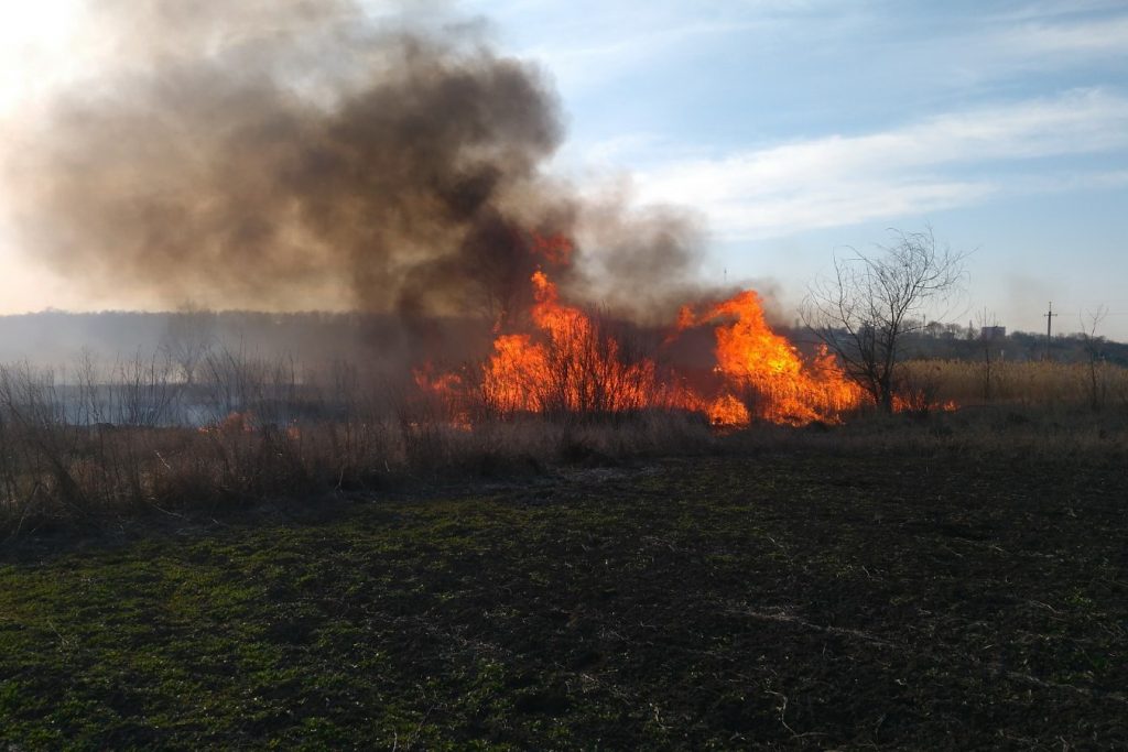 На Харьковщине люди подожгли 90 гектаров полей за сутки. Есть пострадавшие (фото, видео)