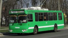 Парламент может ограничить работу общественного транспорта