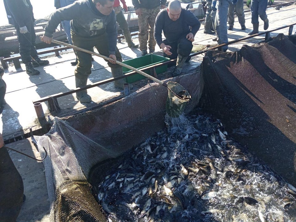 На Харьковщине началось весеннее зарыбление водоемов (фото)