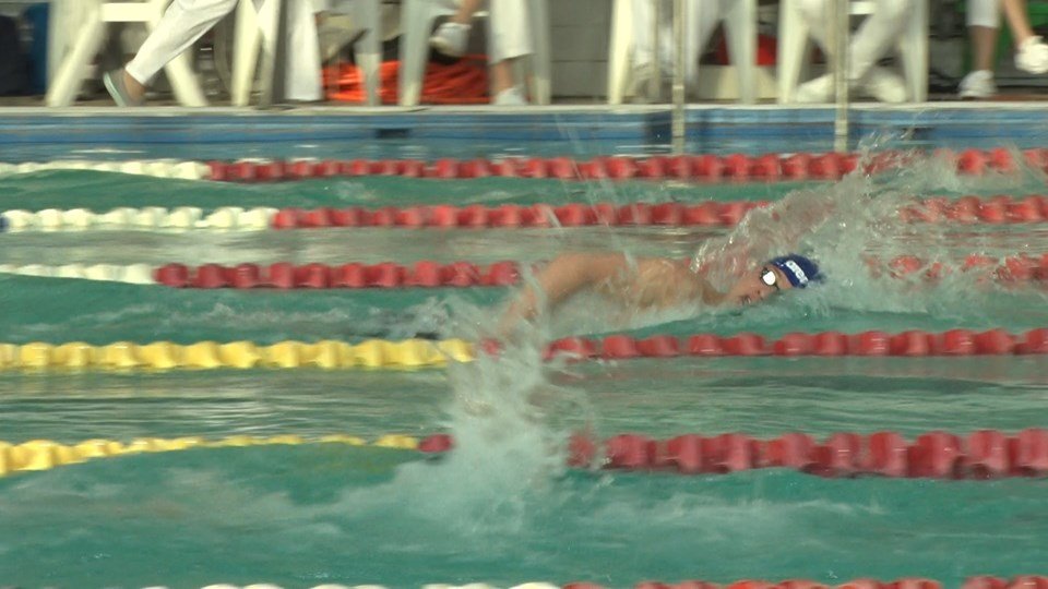 Харьковская пловчиха выиграла шесть медалей чемпионата Украины (фото)