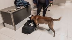 В Харківському аеропорту вилучено наркотики