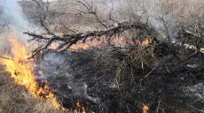 На Харківщині пожежа випалила заказник «Ковиловий степ» (відео)