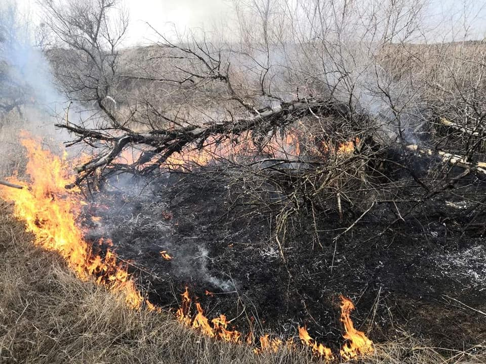На Харківщині пожежа випалила заказник «Ковиловий степ» (відео)