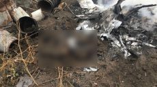 Установлена причина авиакатастрофы, в которой погиб экс-министр Тарас Кутовой