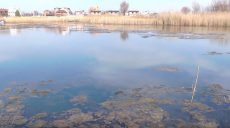 Через аномально теплу зиму на Харківщині знизився рівень води у річках і водоймах — гідроеколог (відео)