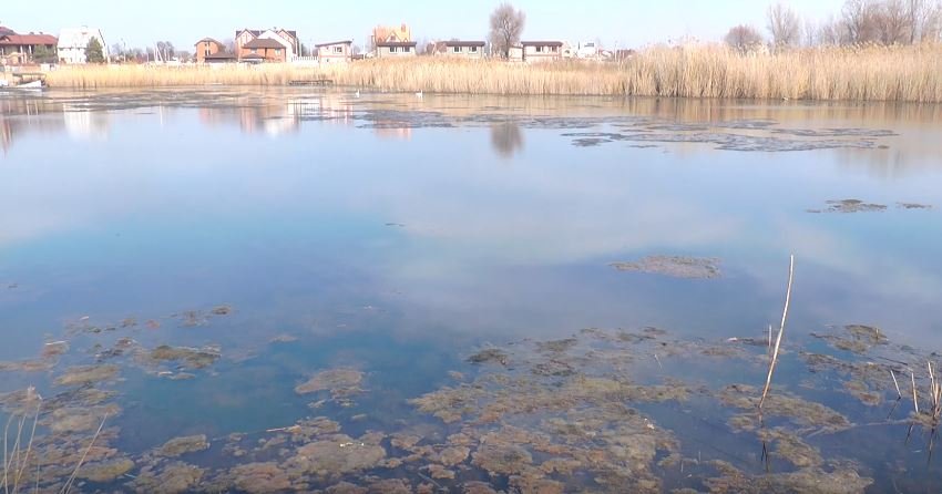 Через аномально теплу зиму на Харківщині знизився рівень води у річках і водоймах — гідроеколог (відео)