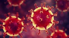 В Украине зафиксированы два новых случая коронавируса