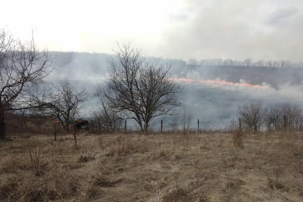 На Харківщині вигоріло 80 гектарів землі
