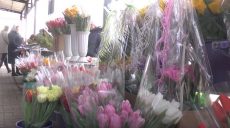 У Харкові реалізатори стверджують, що квіти до 8 березня цьогоріч дешевше (відео)