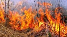 Українці просять посилити покарання за підпал