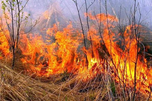 Українці просять посилити покарання за підпал
