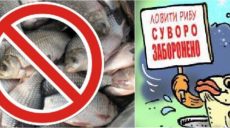 З 1 квітня заборонено промисловий вилов риби та раків у зв’язку з періодом нересту