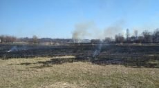 Масштабный пожар на Харьковщине удалось потушить за 6 часов