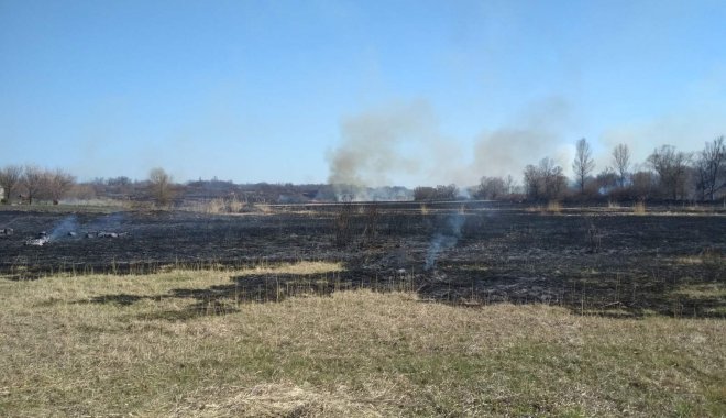 Масштабный пожар на Харьковщине удалось потушить за 6 часов
