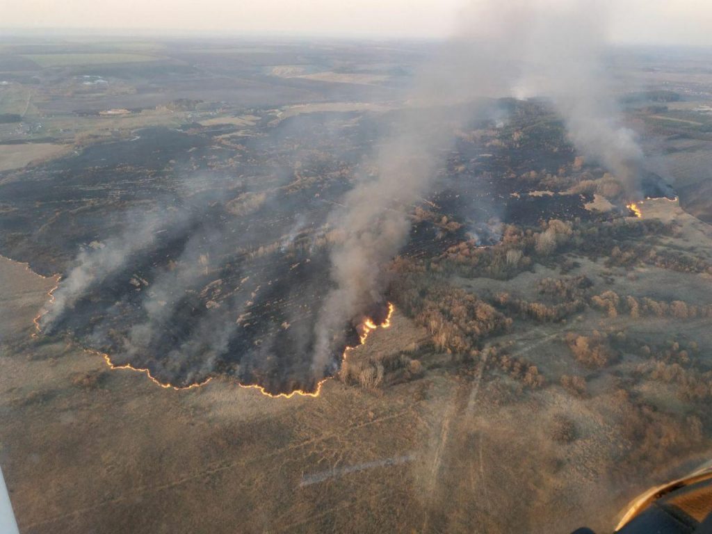 На Харьковщине семь часов тушили масштабный пожар в лесничестве (фото)