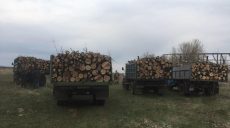 Пограничники задержали незаконных лесорубов (фото)