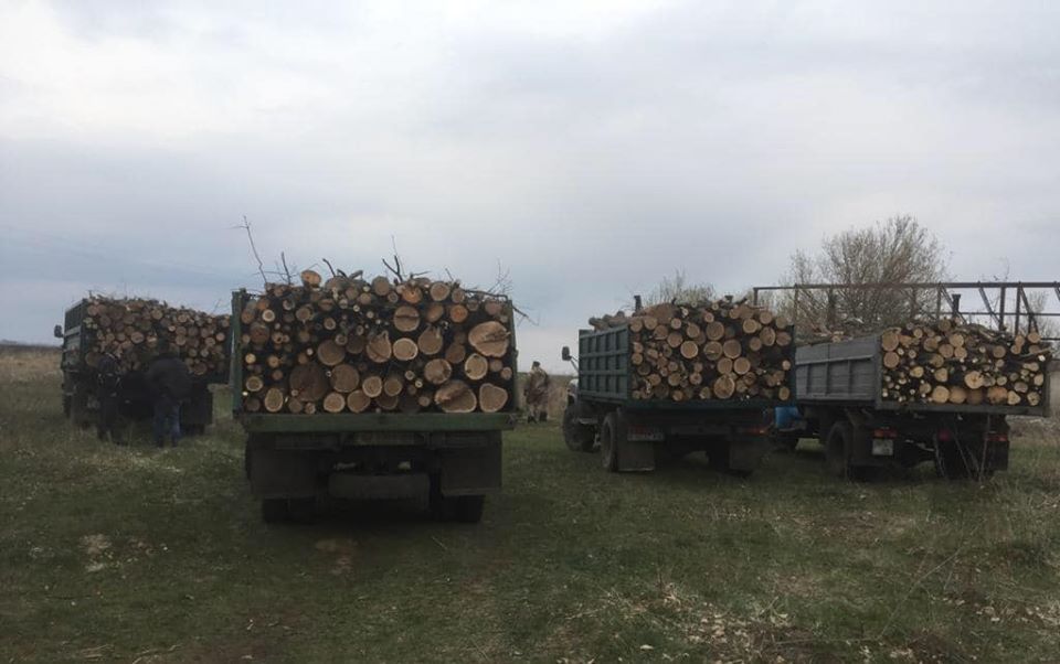 Пограничники задержали незаконных лесорубов (фото)