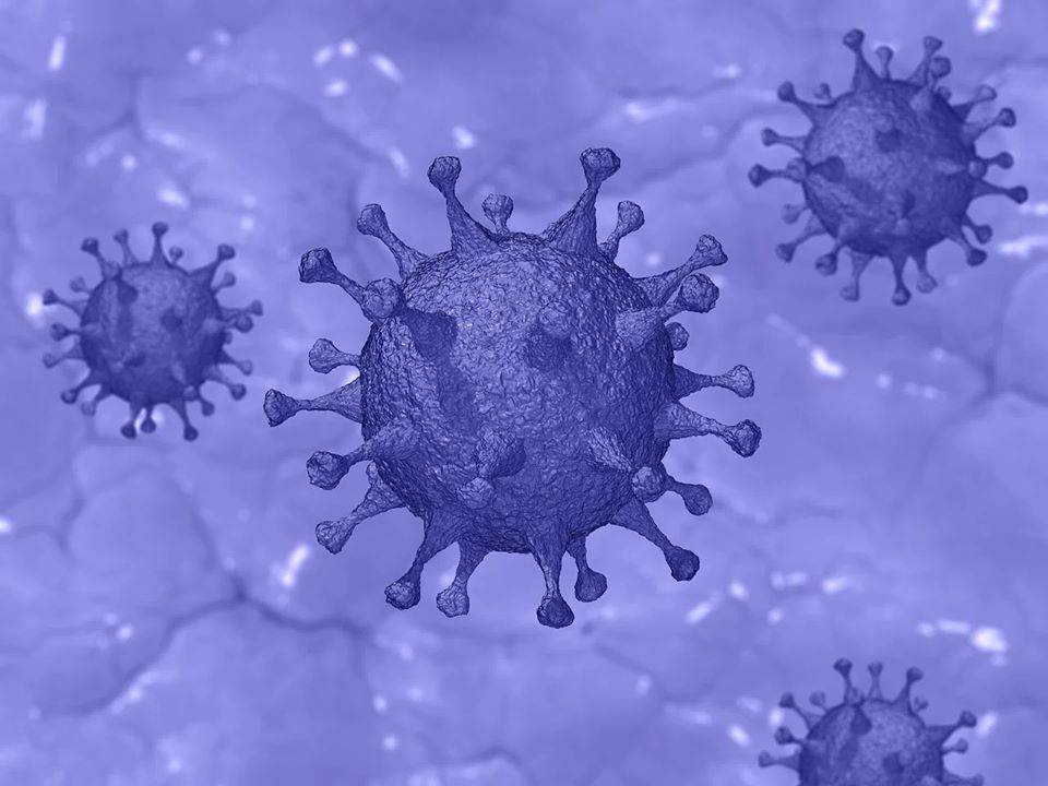 1,2 миллиона человек заболели коронавирусом в мире
