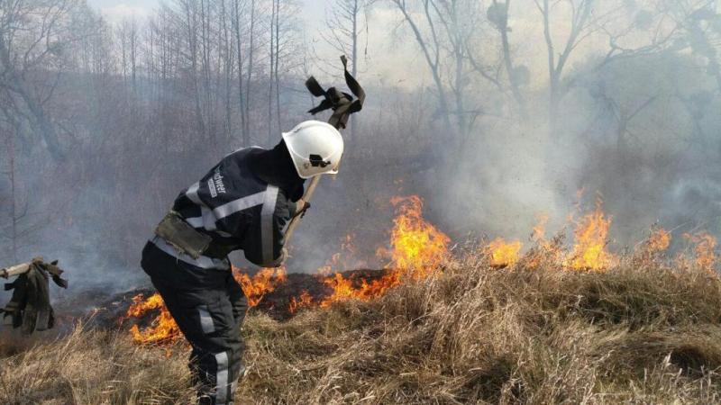 Загазованность Киева — не результат пожаров в Чернобыльской зоне — ГСЧС (видео)