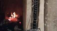 Во время пожара на даче пострадали два человека (фото)