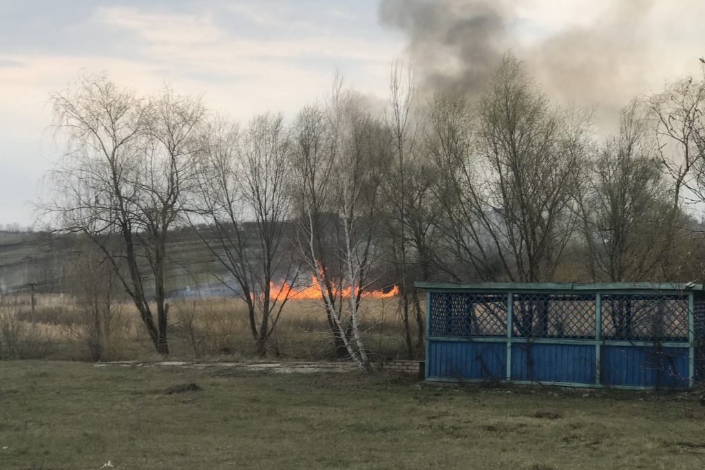 Пожар в экосистеме едва не перекинулся на АЗС и жилые дома (фото)