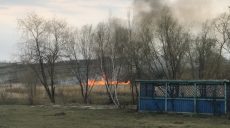 Пожар в экосистеме едва не перекинулся на АЗС и жилые дома (фото)