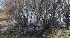 На Харьковщине продолжаются пожары, возникающие из-за несознательности граждан