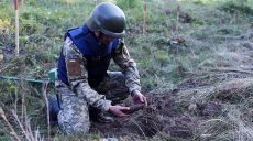 На Харьковщине за сутки разминировали мины, артснаряды и ручную гранату