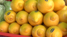 У Харкові ціни на імбир та лимон зросли майже вдвічі (відео)