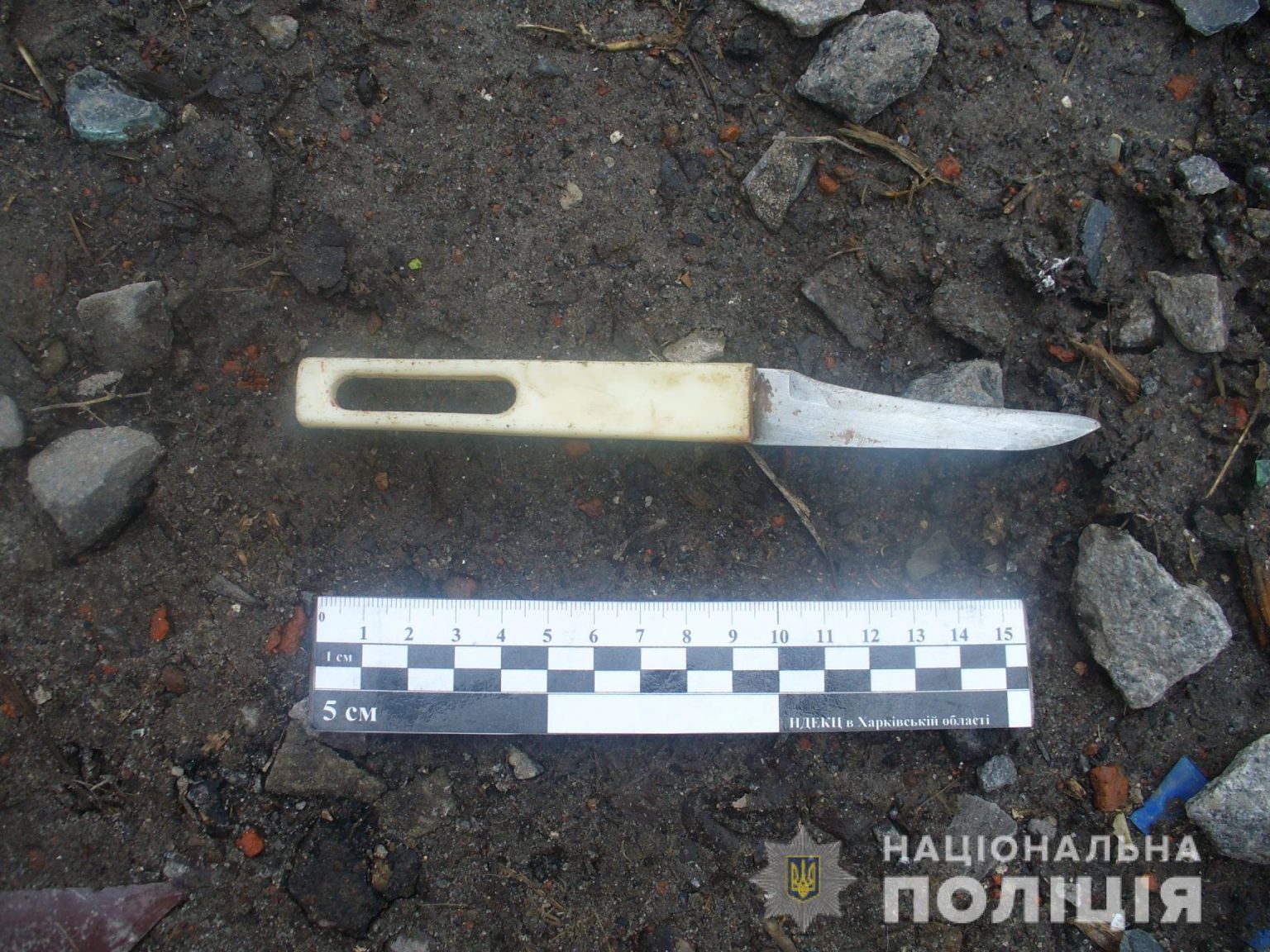 Харьковчанин пытался убить собутыльника