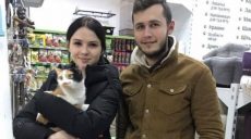 Сто бездомных котов нашли себе хозяев в Харькове