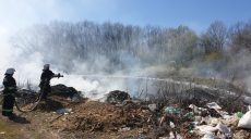 В Валковском районе спасатели спасли от пожара лес (фото)