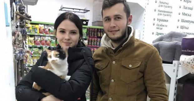 Сто бездомных котов нашли себе хозяев в Харькове
