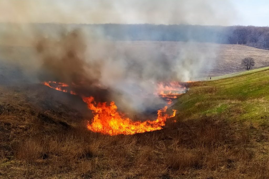 На Харьковщине продолжаются пожары на открытых территориях (фото)