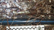Во дворе частного дома в Харькове взорвали гранату (фото)